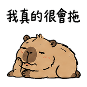 019