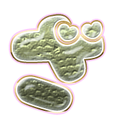 061