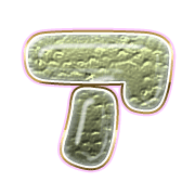 081