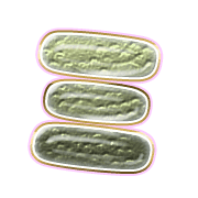 112