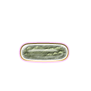 161