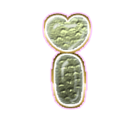 196