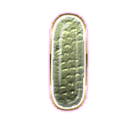 199