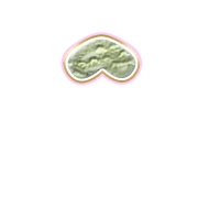 231