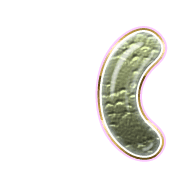 234