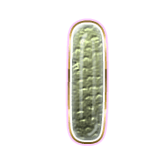 242