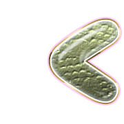 248