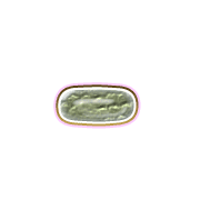 251