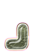 255