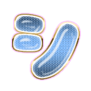 092