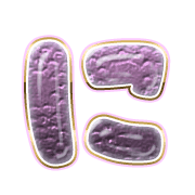 022
