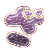 061