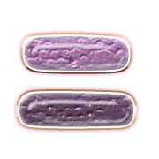 102