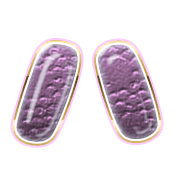 106