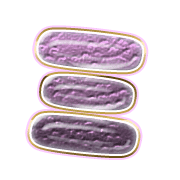 112