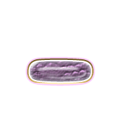 161
