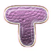 181