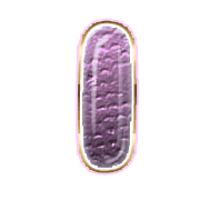 199