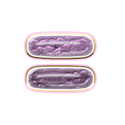 239