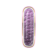 242