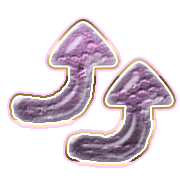 270