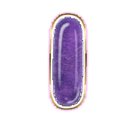 199