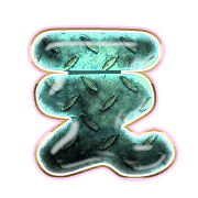 004