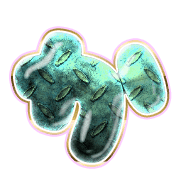 006