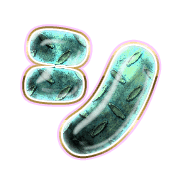 092