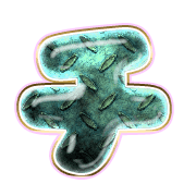 097