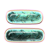 102