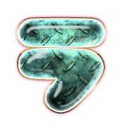 119
