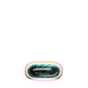 250