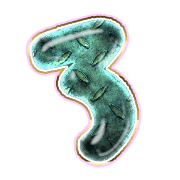 283