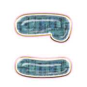 010