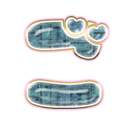 060