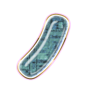 105