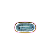 251