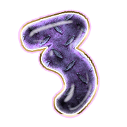 283
