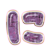 022