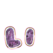 048