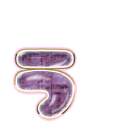 049