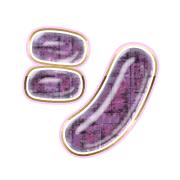 092