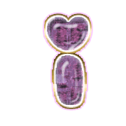 196