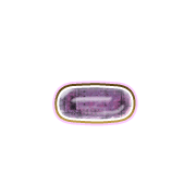 251