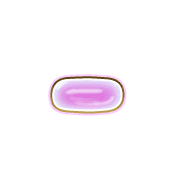 251