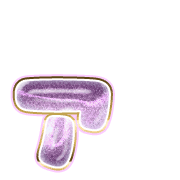 127