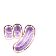 132