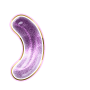 235