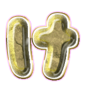 009